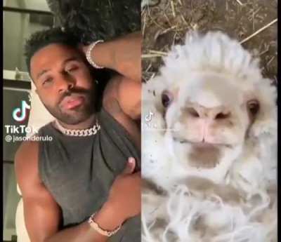 Jason Derulo??