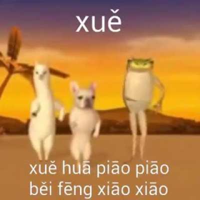 Banda, encontr&eacute; el video original que sale en la publicidad de kwai