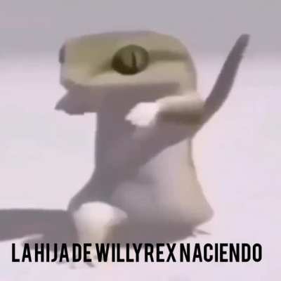 Grande Willy