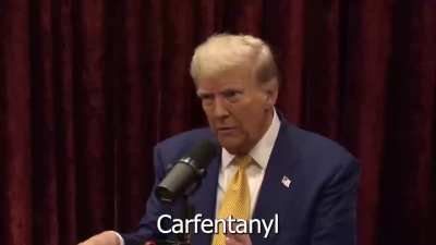 fortress related