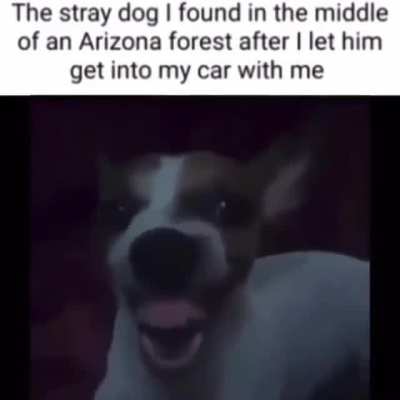 It's a skinwalker