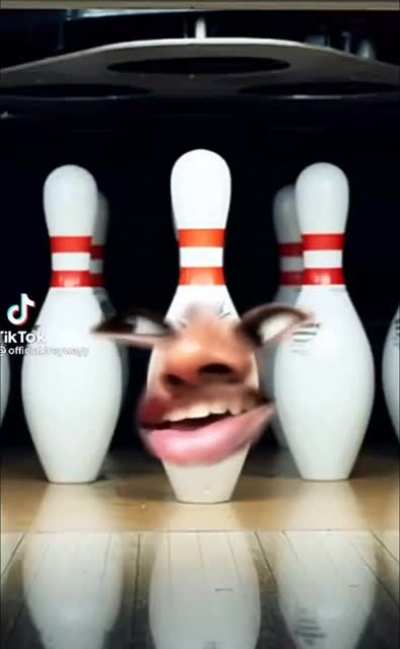 Those poor pins