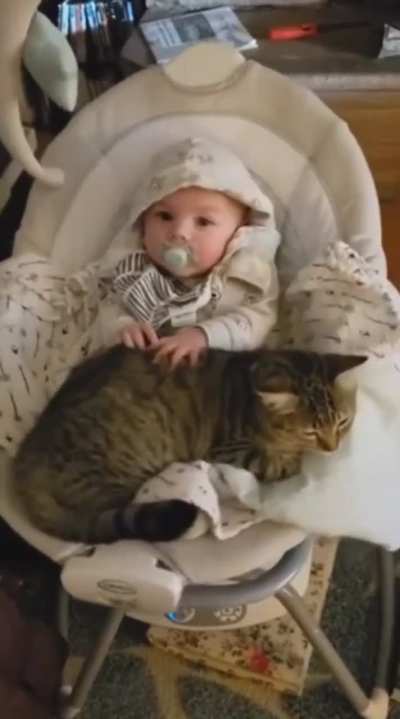 A living blanket