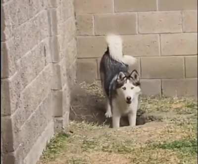 Caught red handed&hellip;