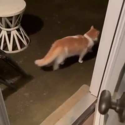 Keep the door open