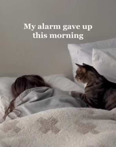 My alarm
