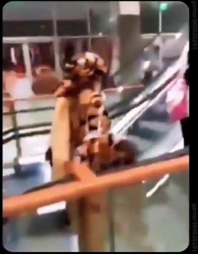 Videos of the inauguration of the first shopping center in Douala, Cameroon