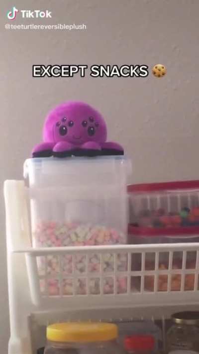 How to Protect Your Snacks