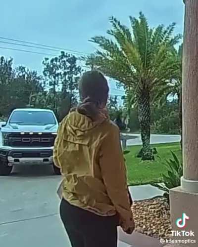 Bro, chill. It&rsquo;s a tree.