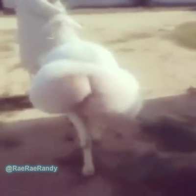 🤤🤤