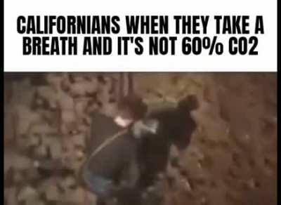 CO2