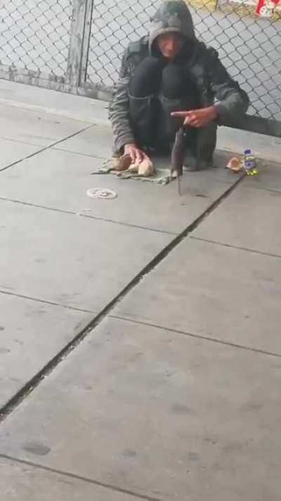 how did this homeless man domesticate mice?