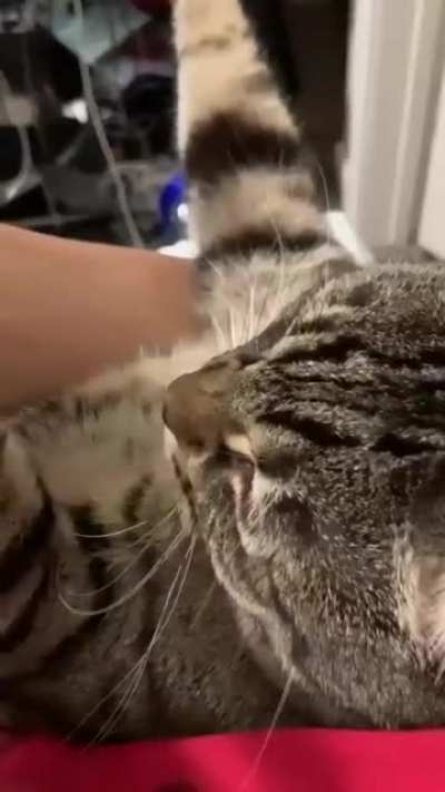 arm wrestling