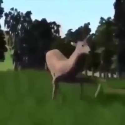 😂🦌🤣🦌😅