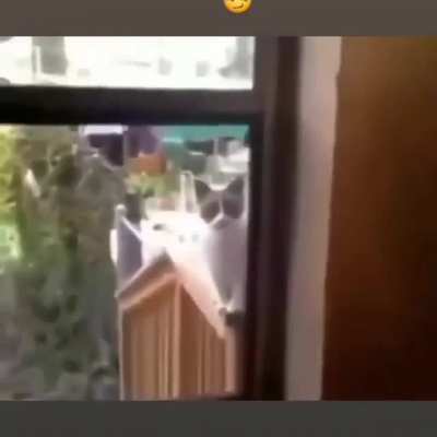 S&uuml;banallah ilk kez g&ouml;renler up