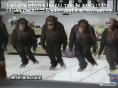 Happy monke noises