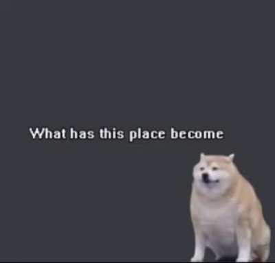 en que se ha convertido este subreddit?