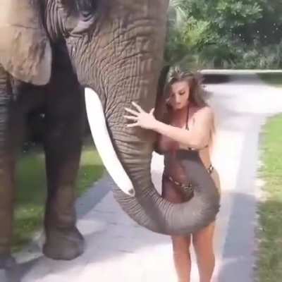 To take a picture