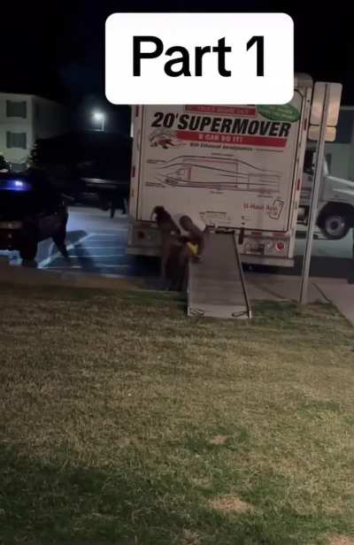When you thought your car getting towed was the worst part of your night. 