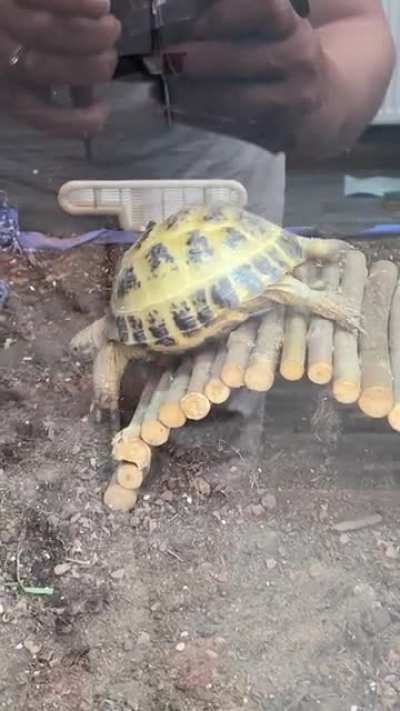 Wheeeeee!