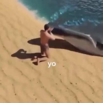 Yo