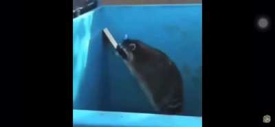 I’m 15 and this is yeet