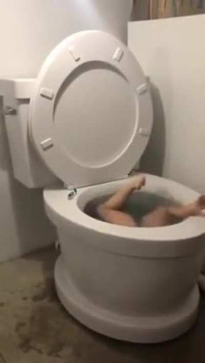 Toilet Bathtub