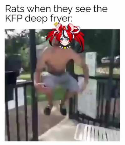 Ogey rrat fryer
