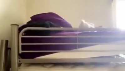 rello - Video #8743