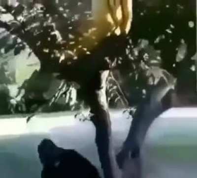 ?