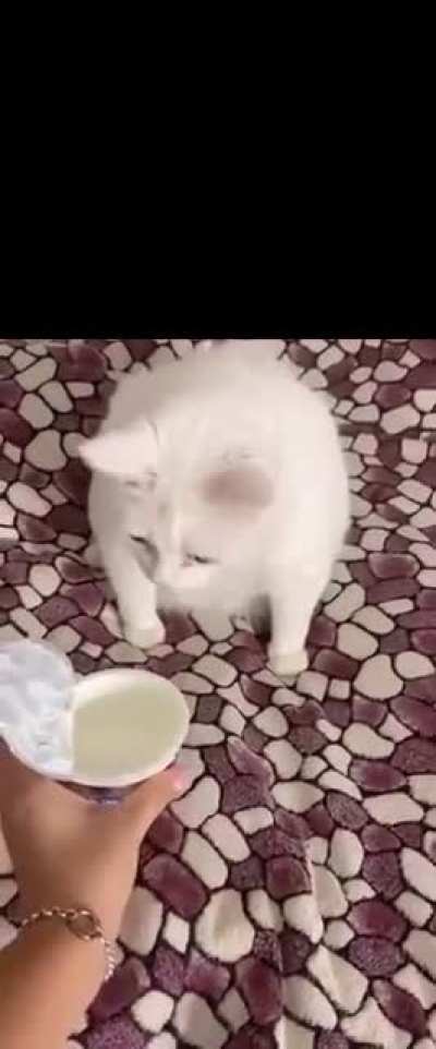 Smells Disgusting