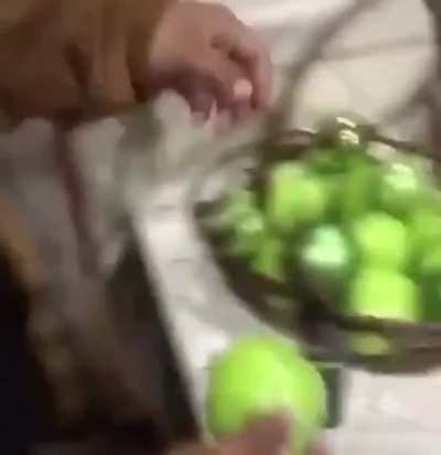 more apple chaos (abruptchaos)