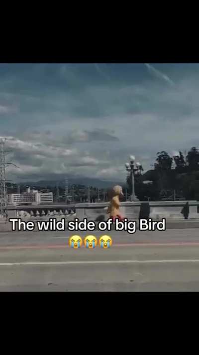 The Notorious B.I.R.D.