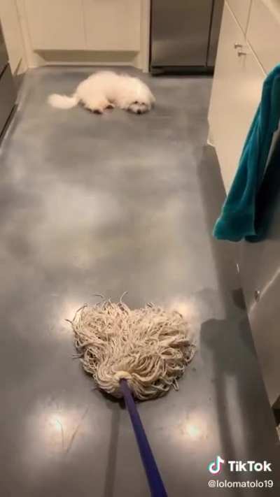 All shall fear the mop