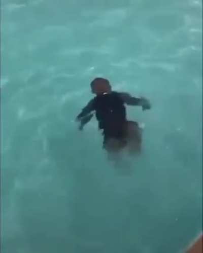 Swimming Lesson 101
