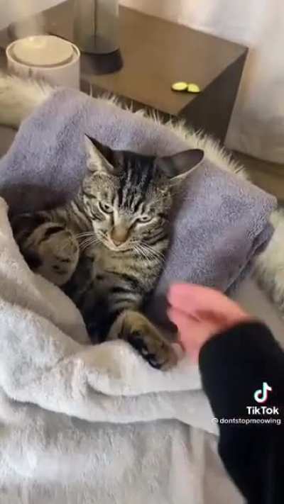Spa with the cat