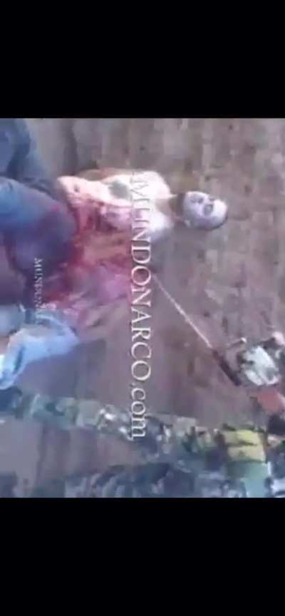 2guys 1 chainsaw