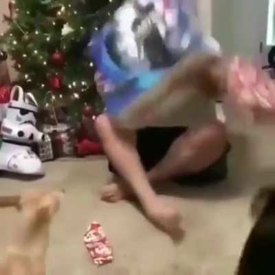 Merry Christmas!