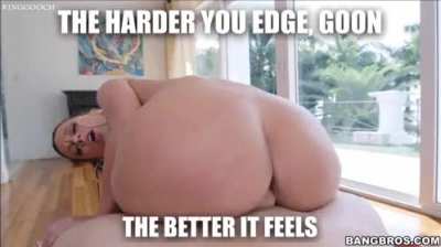 NOT HARDER ENOUGH