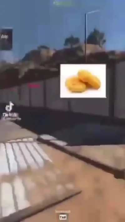 Chicken Nugget
