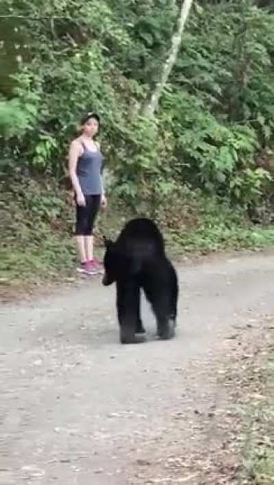 Don’t move!
