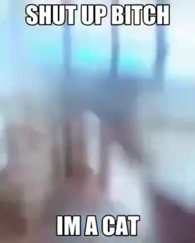 jumpscare