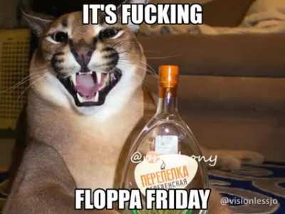 floppa friday