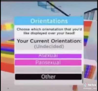 Roblox man destroys LGBTQ Hangout server