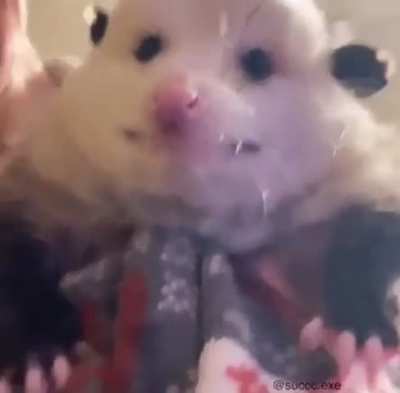 🙂
