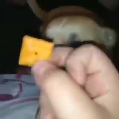 Cheese