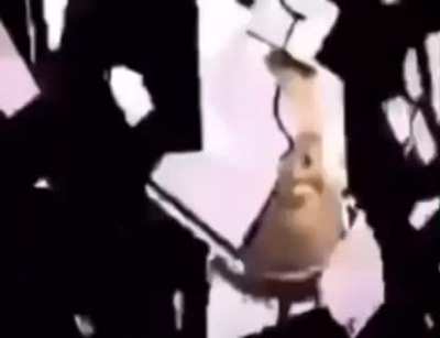 Egg