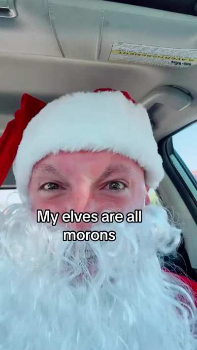 my elves are all morons 