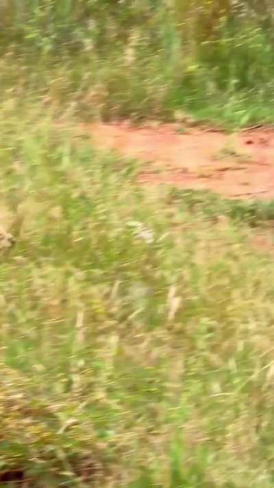 Baby decided he’d walked enough for one day and throws a tantrum so his mom will carry him