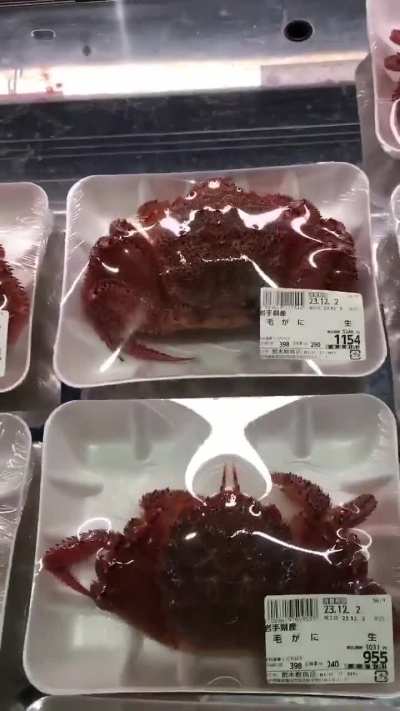 Damn that crab be FRESH